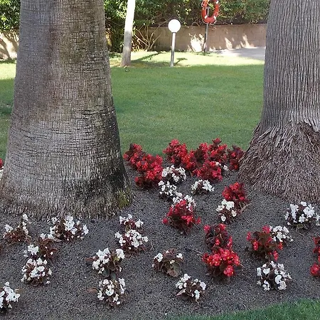 Lejlighed Ventura Park 2 4 *